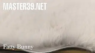 Fatty Bunny беж