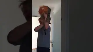 Der König der Löwen