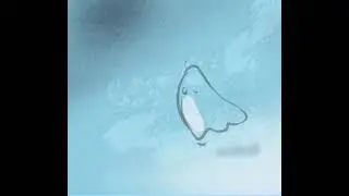 2D animation experiment | digital art