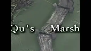 Final Fantasy IX FF9 Qu's Marsh Relax OST Calm Song Lofi Classic Game for work, study, or chilling