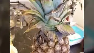Spicy Pickled Pineapple/Asinan Nenas (Super pedas)