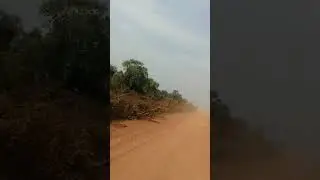 The road in my hometown
