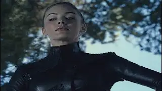 Legend of the Seeker - leather compilation