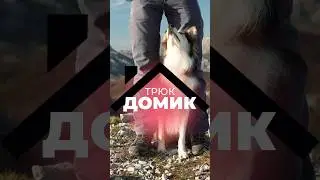 На какой трюк снять обучалку?) Нравится вам короткий вариант вертикальных обучалок?)