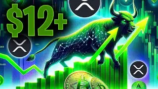 Cardano ADA Video