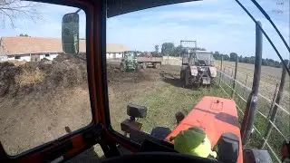 [2020] Trágyahordás *D.Deni*