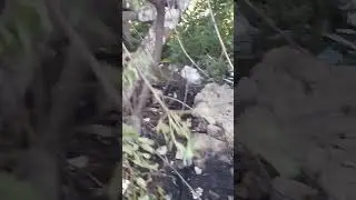 после недавнего пржара