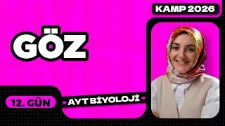 12) The Eye | Sensory Organs | 11th Grade Biology | 2026 AYT Biology Camp Video 12