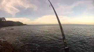 Pesca De Bicuda (Barracuda) // Gran Canaria Spinning