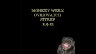 MONKEY WERX OVERWATCH SITREP 2 9 21