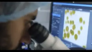 Всё о Вэлнэс Пэк