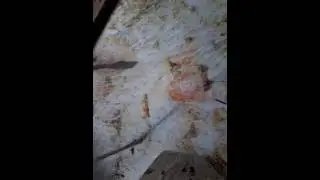 как сделать усилитель на одном транзистори кт818  !!!