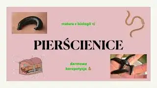 #24 Pierścienice 🪱- podział, budowa, charakterystyka 📕 biologia rozszerzona do matury 🍀liceum
