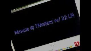 Mouse at 7 Meters With a 22LR