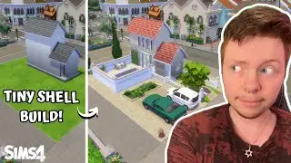 The TINIEST Shell Challenge on the Gallery!