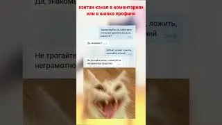 Мемы 