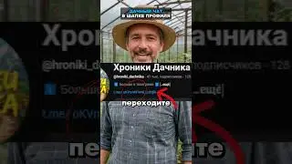 Колорадский жук больше не проблема. Самые эффективные средства 