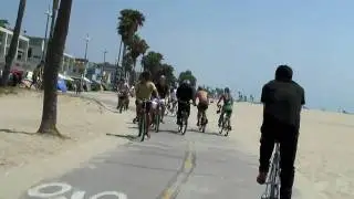 Bike Cruise in Venice Beach California