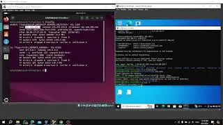 Diamorphine Rootkit: Network Programming Project 1