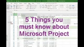5 Things you MUST know about Microsoft Projecct