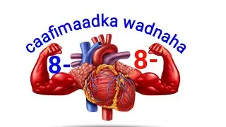 wadnahaada ma ogtahay 8-daan sheey in Si joogta ah ugu baahanyahay hadii uu waayana shaqada.........