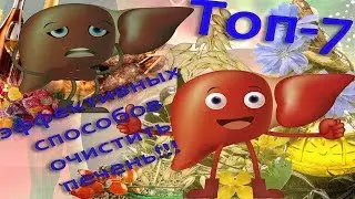 Чистка печени (лучшие способы в домашних условиях)