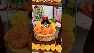 Shubh Rath yatra 🙏🏽