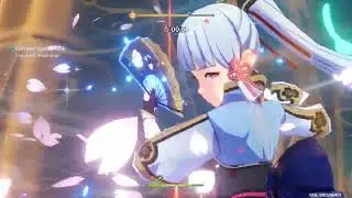 Genshin Impact Hyper Carries on display