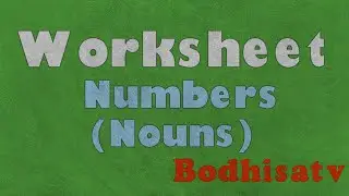 Worksheet for singular and plural|| Worksheet on nouns 