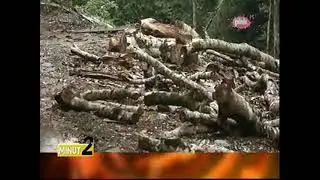 04-02-2023 - PINK M - Krivična prijava protiv Uprave za šume zbog prekomjerne sječe drva u Rožajama