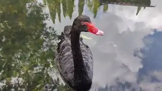 Абхазия,Новый Афон, Пещеры, Грот, часть 2....Съемки монастыря с дрона...2024 Пещера святого Ипатия