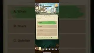 【AFK Arena】Poetic Pop Quiz 