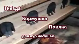 DIY проект: как сделать гнезда, поилку и кормушку для кур-несушек своими руками.