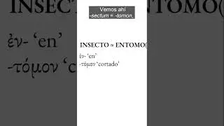 INSECTO y ENTOMO(logía) son la misma. #filologíaclásica #etimología #etimologíasgrecolatinas
