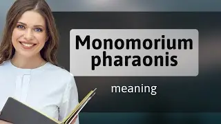 Monomorium pharaonis | what is MONOMORIUM PHARAONIS definition