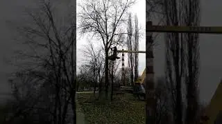 Копия видео "Спил деревьев+обрезка веток. Кронирование. (098) 087 77 78."