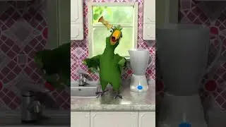 кеша кидает посуду и помидоры!🤣