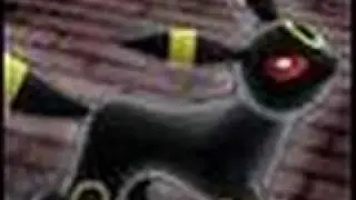 Shadow/Umbreon