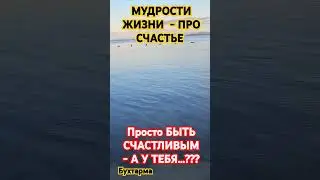 3 сентября 2024 г.