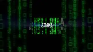 OTRO DÍA