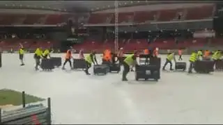 Great stagehand migration