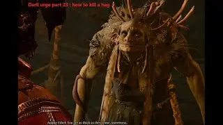 Baldur gate 3 :dark par 23 how to kill a hag