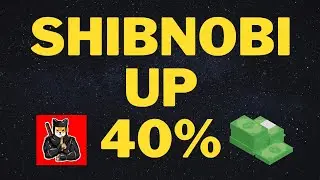 SHIBNOBI UP 40% - VERY BULLISH - 1000X IN 2022