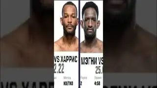 Шавкат Рахмонов | UFC | Статистика