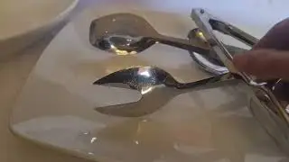 השכרת כלי אוכל לליל הסדר 050-2882712