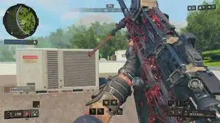 EASY WINS When You are A BEAST (PS5) Blackout | Call of Duty: Black Ops 4