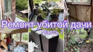 Ремонт убитой дачи. Часть 7. Обшиваем стены. Посадка туй. Огород. Дача.