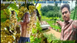 Kusumai Bang Mani Nukgwi Wana Sukha😱Kwtwi jat!!#Burmese grape fruit#@tiprasanikhorangofficial