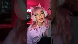 Teddy Bear Case