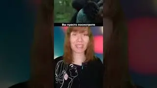 Эти мишки самые отвязные